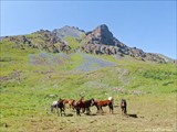 Долина реки Чон-Аксу. 3150м. Жеребец пошел в атаку.